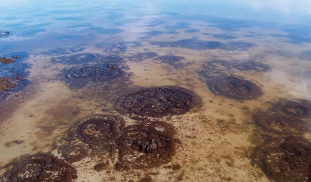 Rounded microbialite formations beneath water