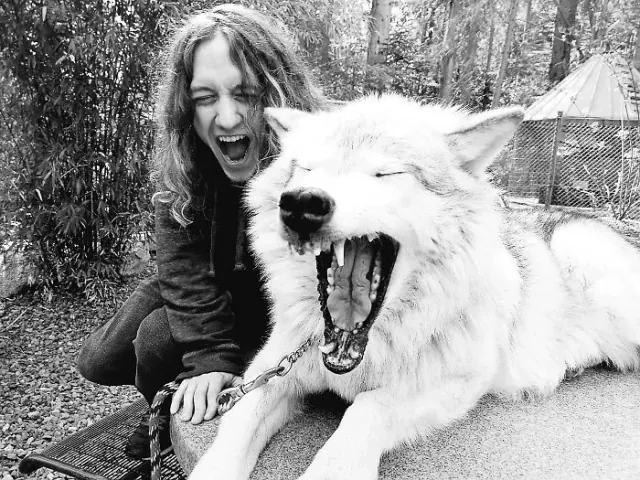 White wolf with its mouth open beside a visitor