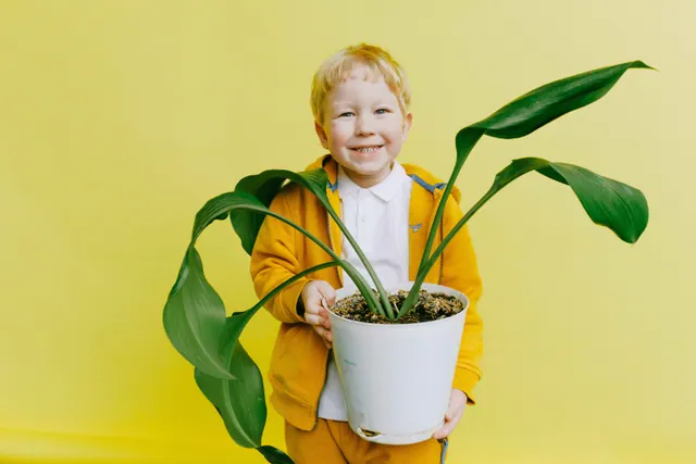 A young smiling boy holding a plant growing in a planter pot.