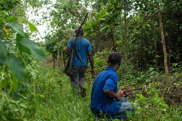 Two people in woodland, an illustrative photograph unrelated to the investigated deaths