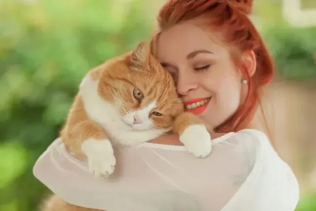 Illustration for “Understanding Cat Behavior: Turn a Fondness for Felines into Love”