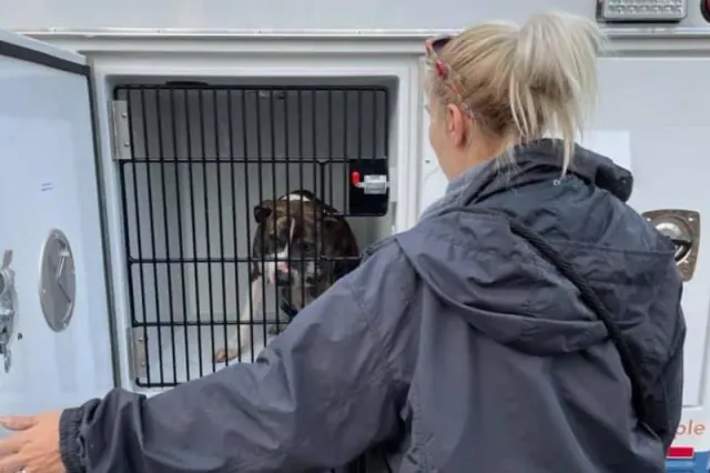 A person beside a dog in a transport crate