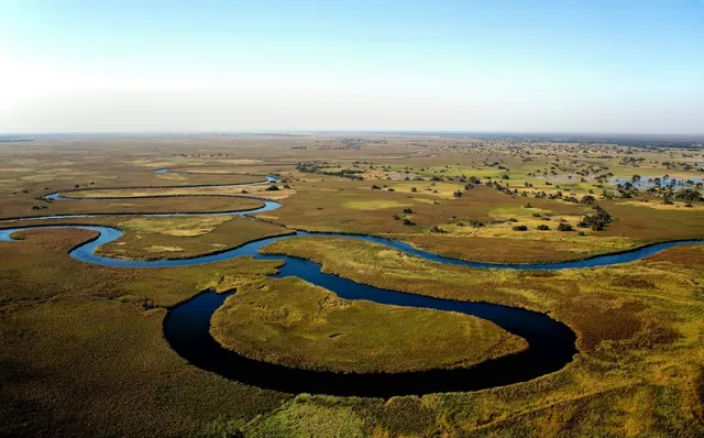 An aerial view of waterways in the Okavango region
