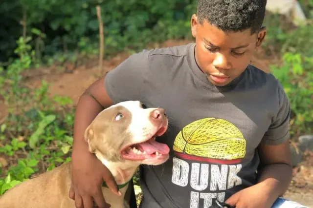Young person sitting with a gray-and-white dog