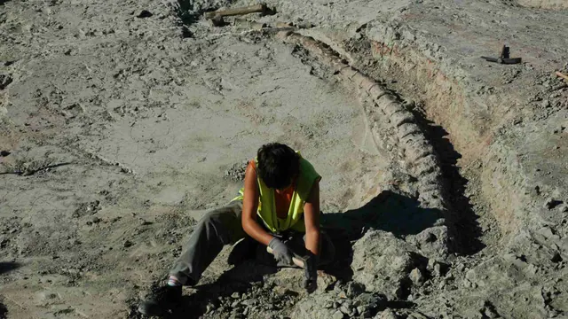 A person working beside fossil bones at an unrelated excavation