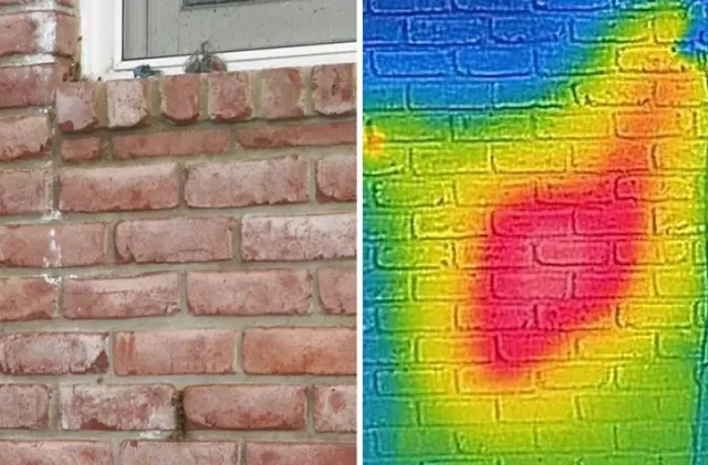 Illustration for “Living In The Walls: This Tennessee Family Had the Surprise of Their Life”