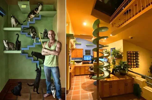 Paired photographs of Peter Cohen beside cat steps and a spiral ramp in another room.