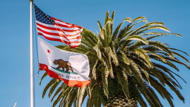 California and United States flags beside a palm tree in an illustrative photograph