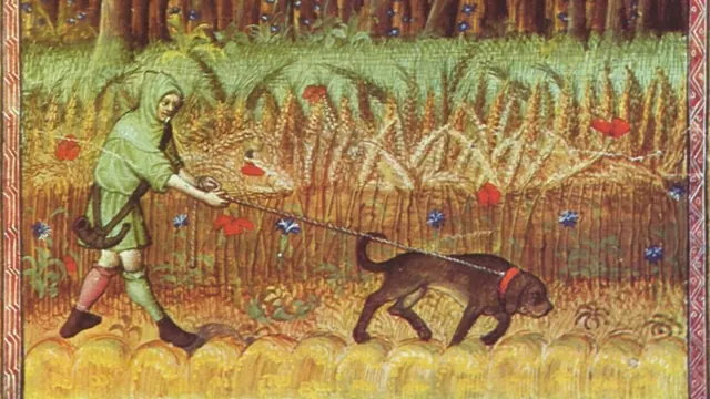 A handler with a dog near a grain field in a manuscript illustration