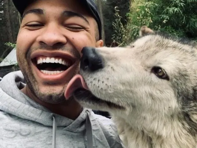Close view of a wolf beside a smiling visitor