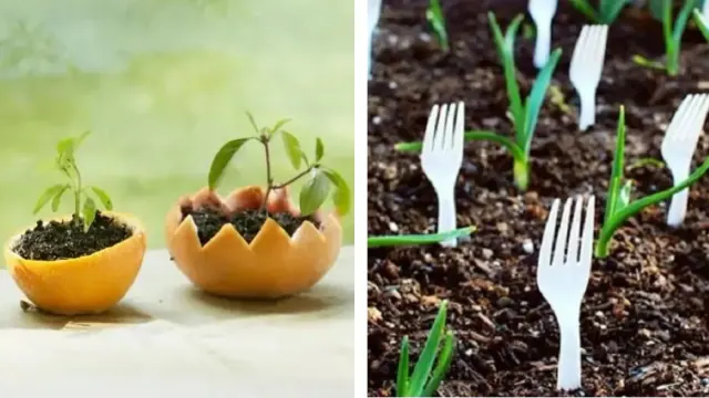 Illustration for “Green Thumb Gardening Tricks to Help your Garden Thrive”