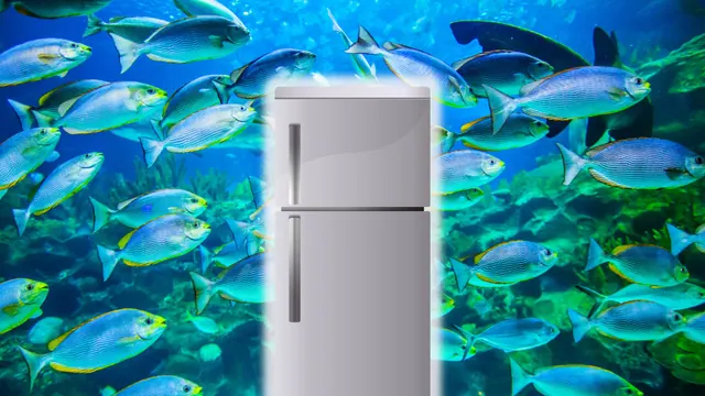 Illustrative composite of a refrigerator among fish