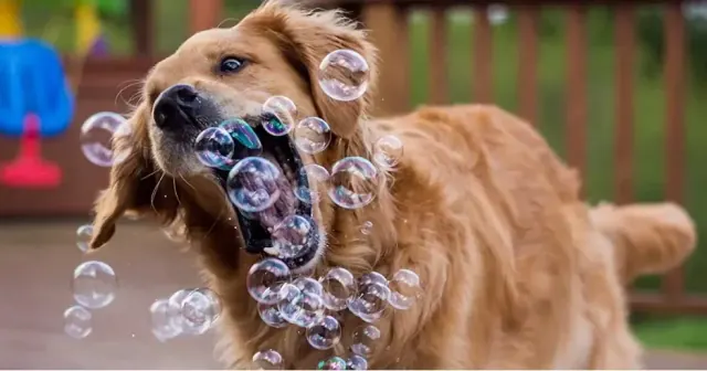 32- Blow Bubbles