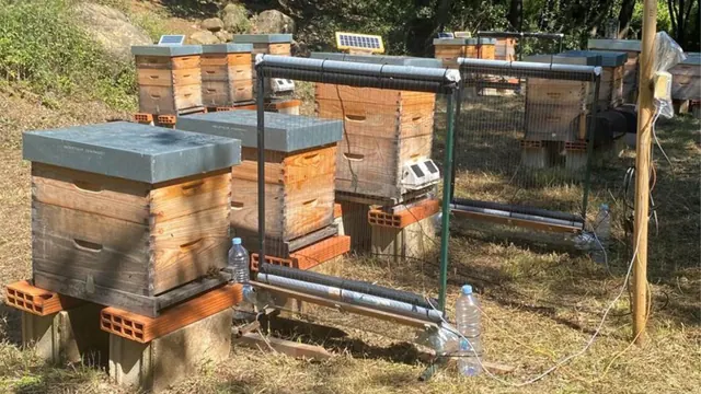 An electric-harp frame positioned beside beehives