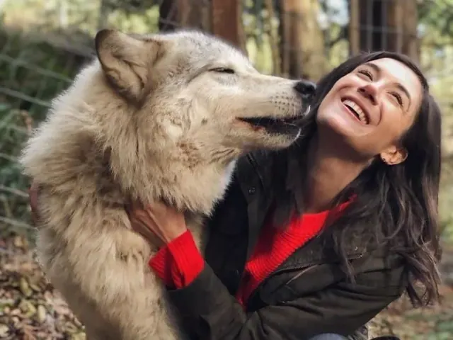 Wolf reaching toward a visitor’s face