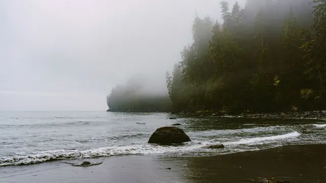 A misty coastline in an illustrative Pacific Northwest photograph