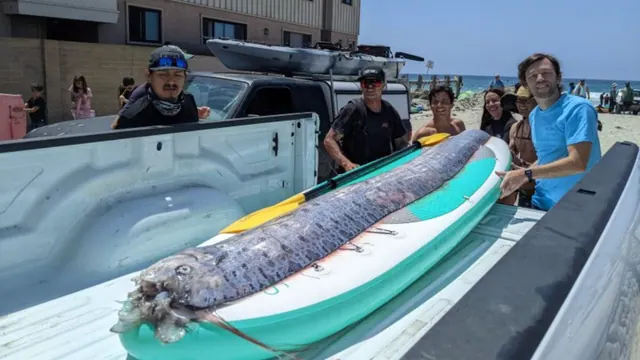 People beside a long oarfish on a paddleboard at a truck