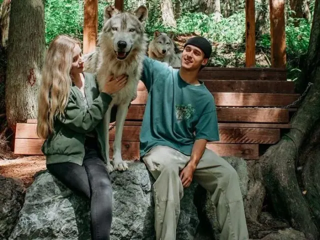 Wolf standing beside two seated visitors
