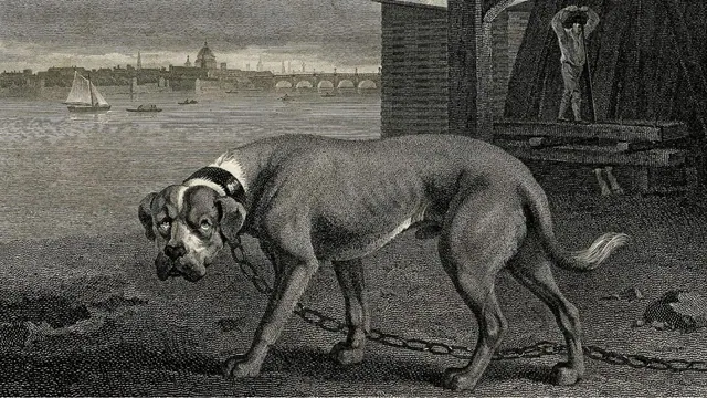 A large dog standing beside a building in an undated print