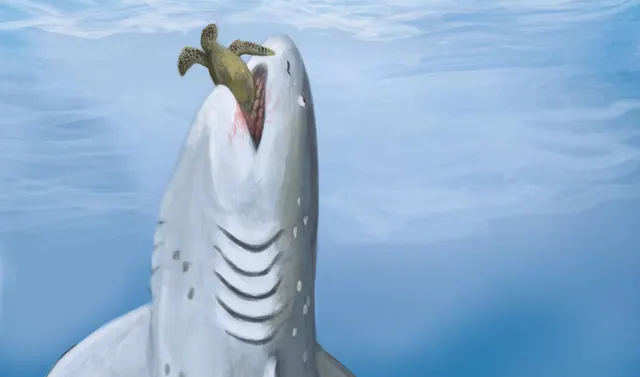 Artist’s reconstruction of a prehistoric shark approaching prey