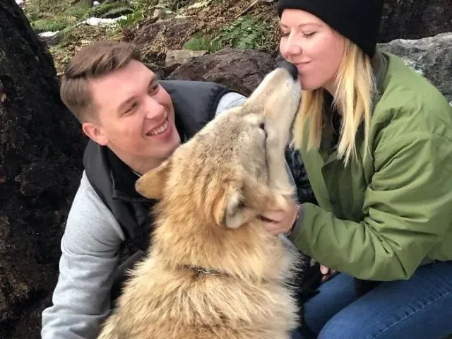 Two visitors with a wolf between them