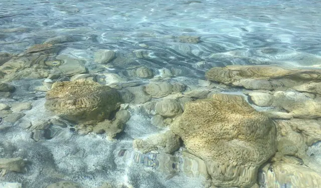 Submerged rocklike formations in shallow water