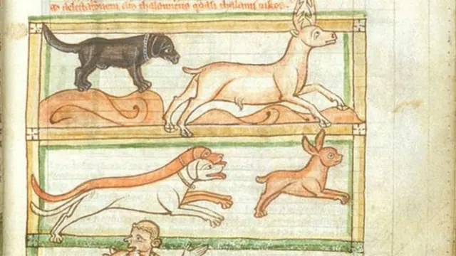 Dogs pursuing animals in a manuscript illustration
