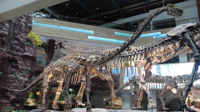 A mounted sauropod skeleton in a comparison museum photograph
