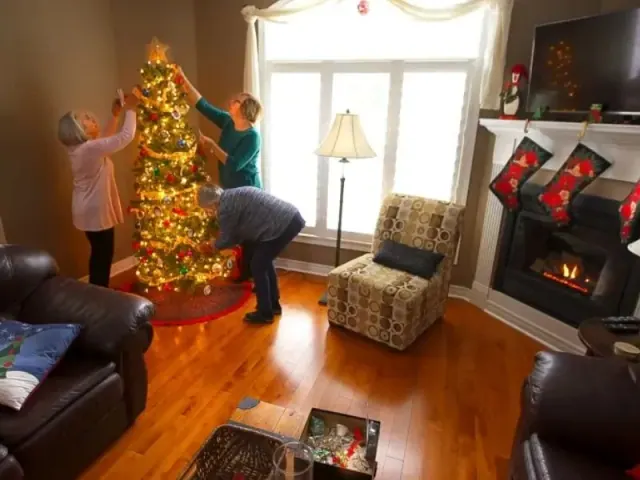 Shared living room with a decorated tree