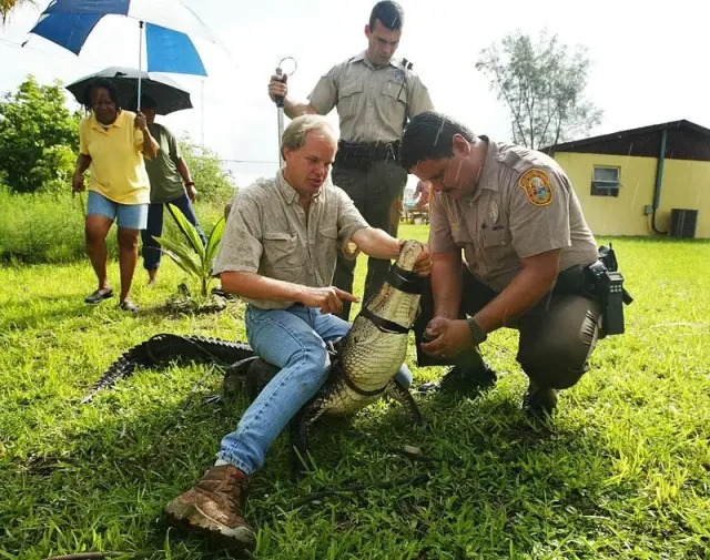 Illustration for “Giant Alligators Are Exceptionally Dangerous”