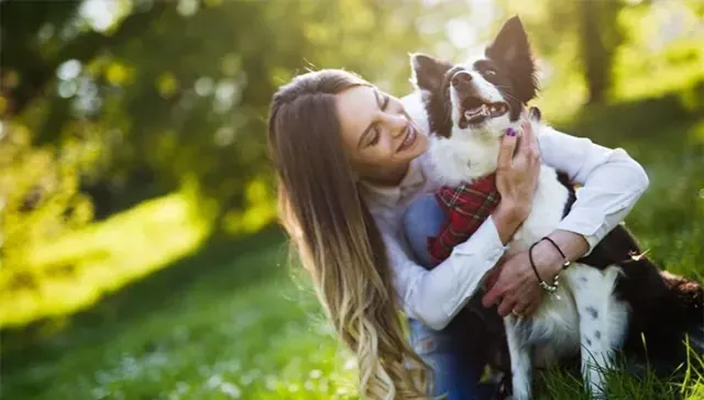 Illustration for “Dog Body Language and Behavior: Signs Your Dog Loves You”