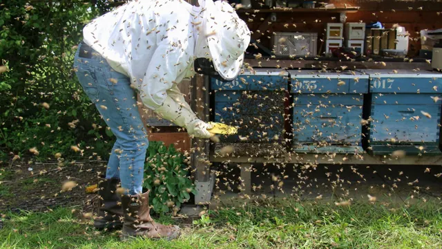 A beekeeper working beside hives