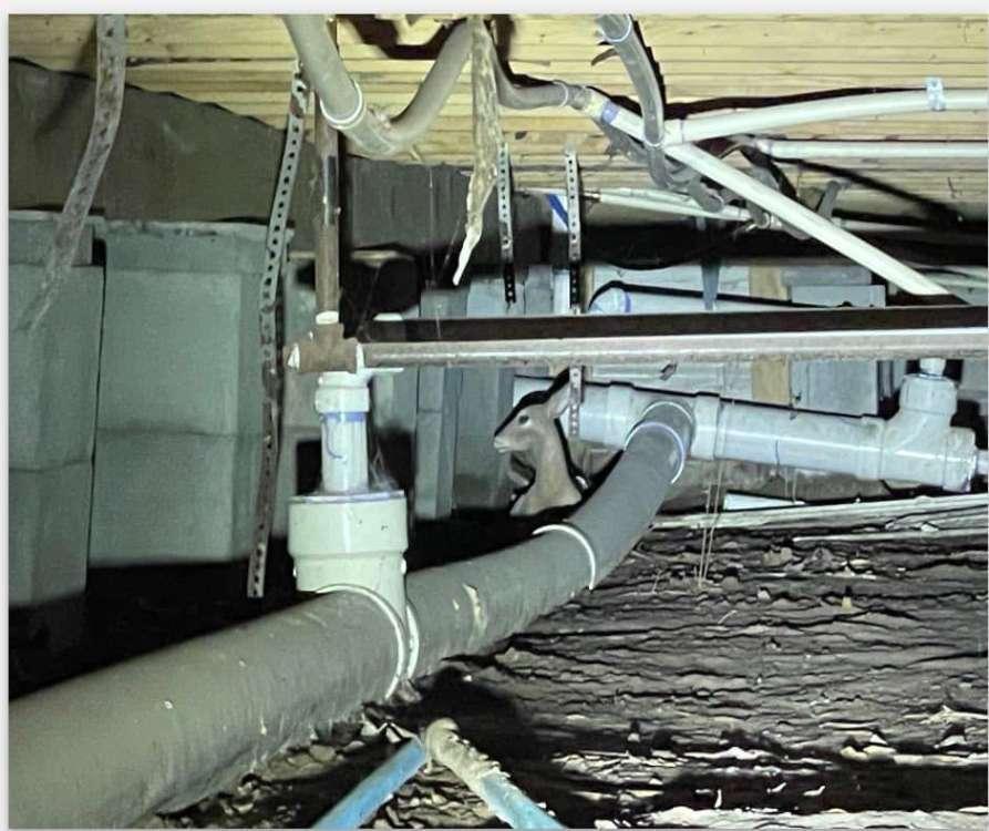 An illustrative archive view of pipes in a crawl space beneath a building.
