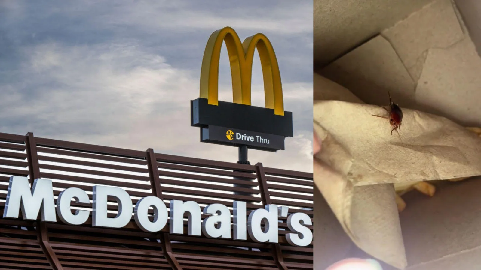 McDonald's Drive Thru logo atop the fast food restaurant / Cockroach videoed on a napkin inside of a McDonald's Happy Meal / Cockroach Inside Happy Meal