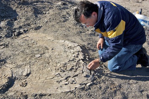 A person excavating rock, an illustrative archive photograph