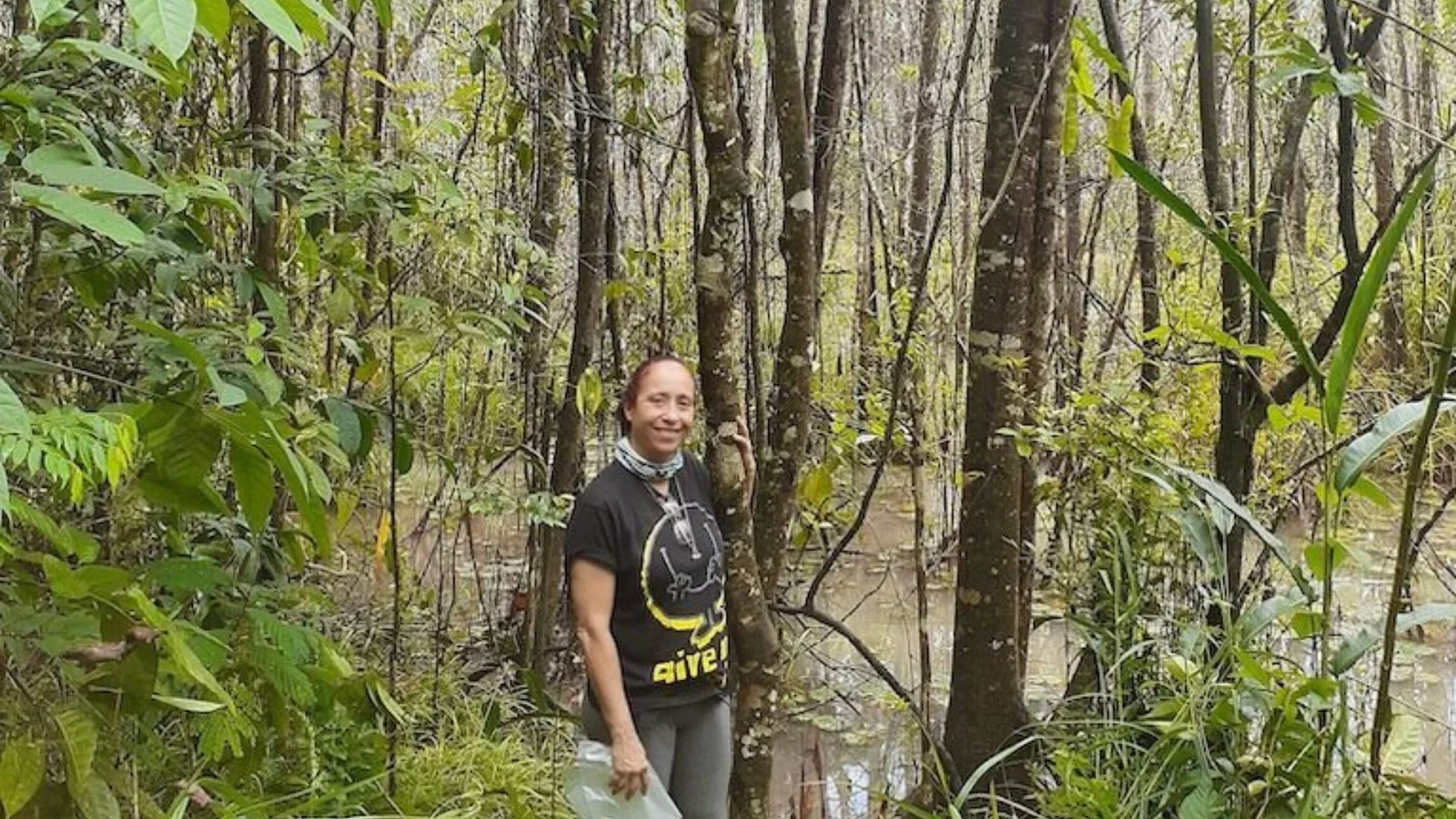 A person standing next to the Pernambuco holly in a dense forest, holding a part of the tree.