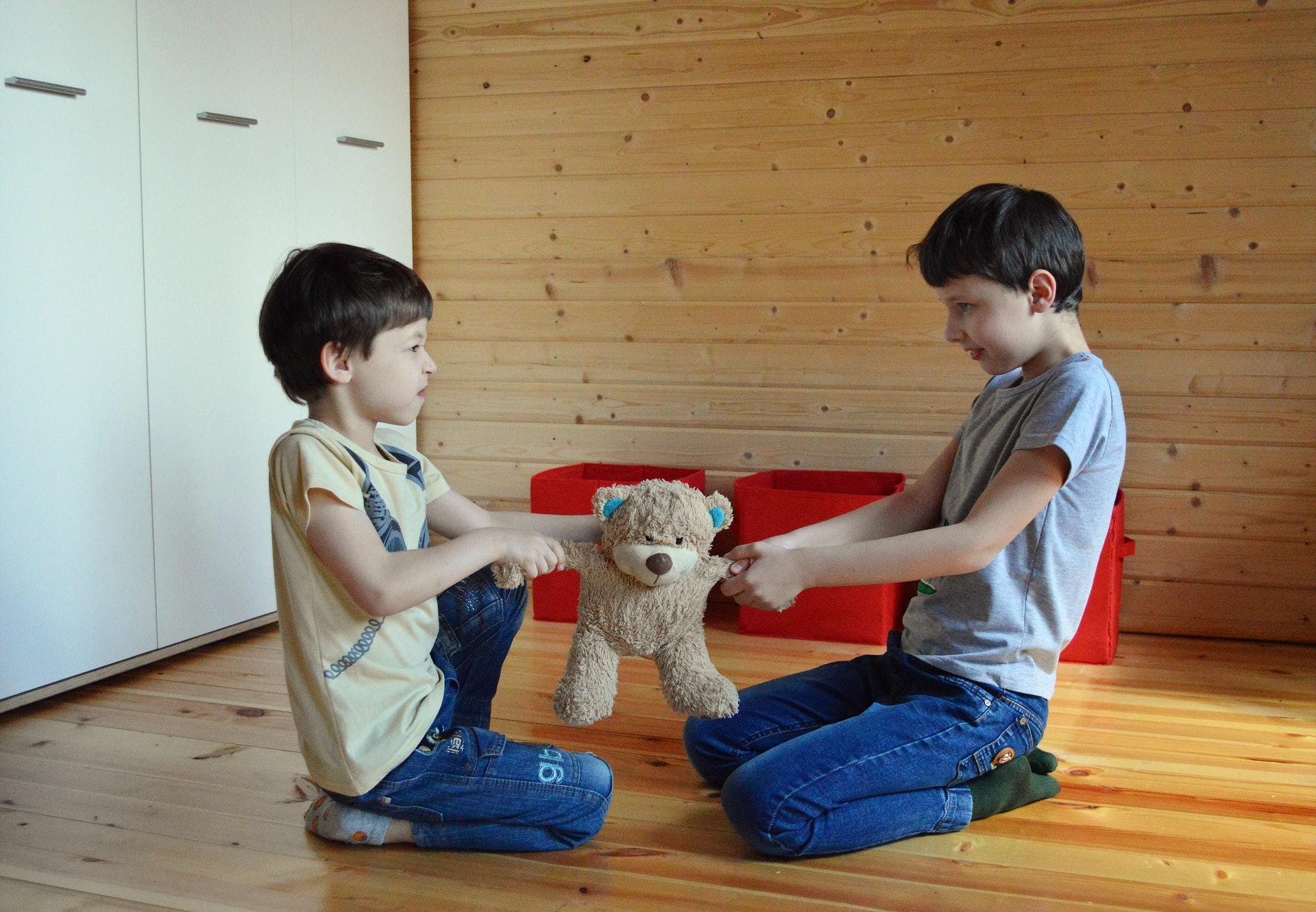 Two children facing each other while holding a teddy bear