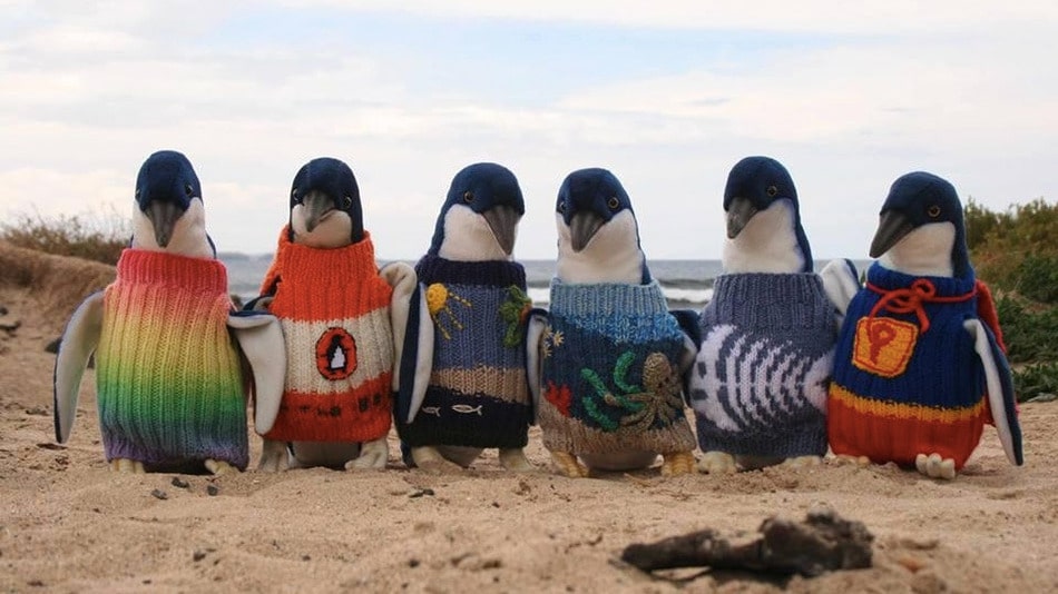 A row of plush penguin toys wearing colourful knitted jumpers on sand.