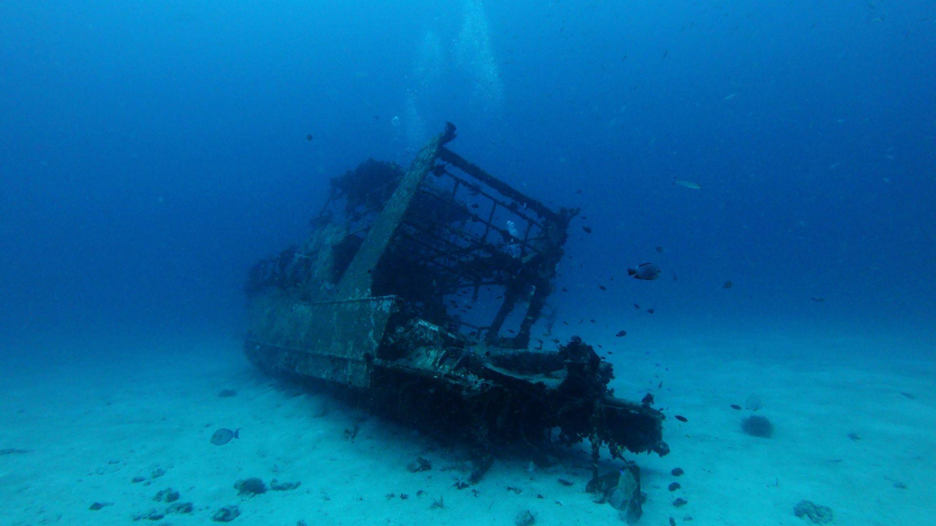 Illustrative underwater photograph of a wreck; not the Green Island discovery.