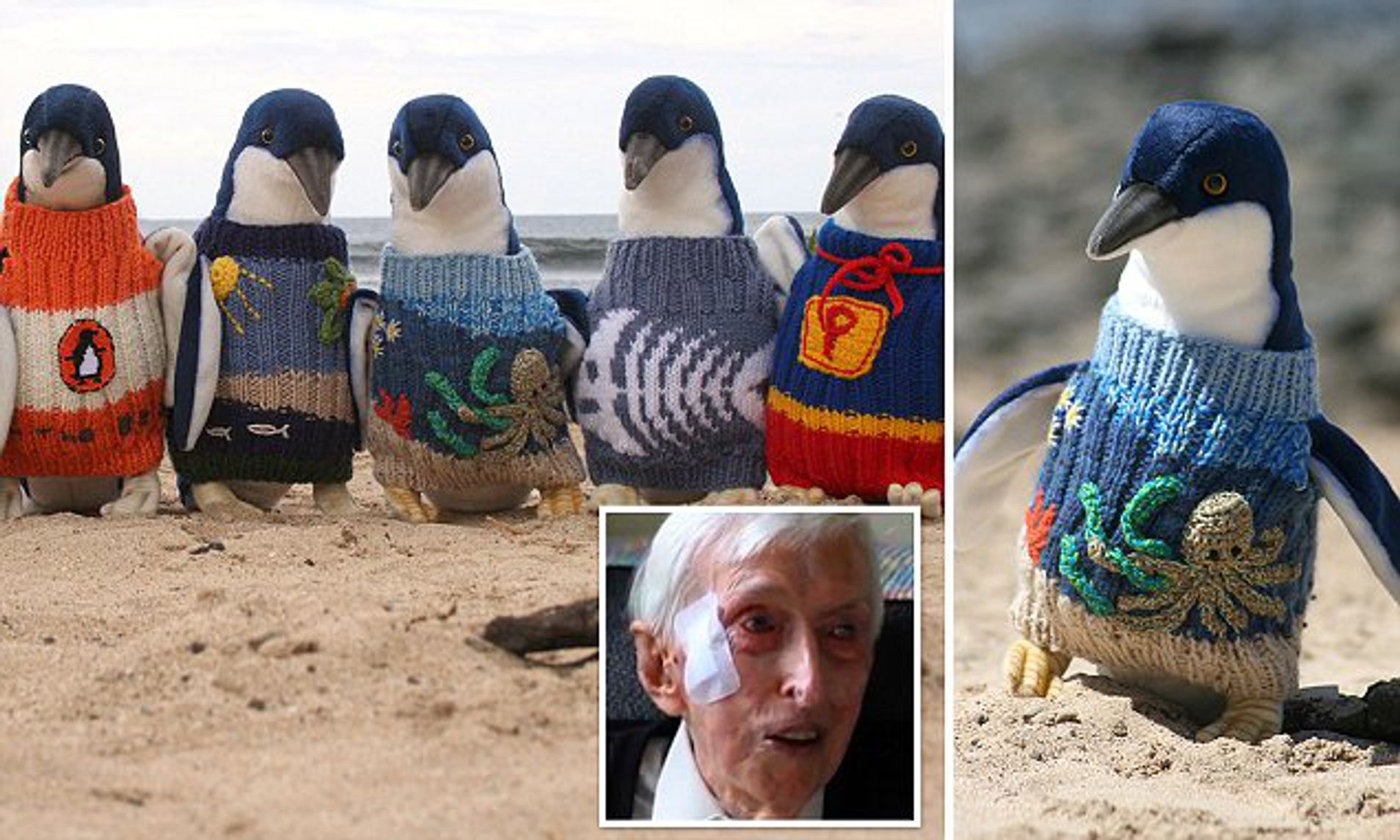 A collage of plush penguins in knitted jumpers with an inset portrait of Alfie Date.