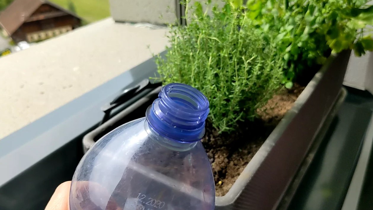 A plastic bottle beside plants in a container.