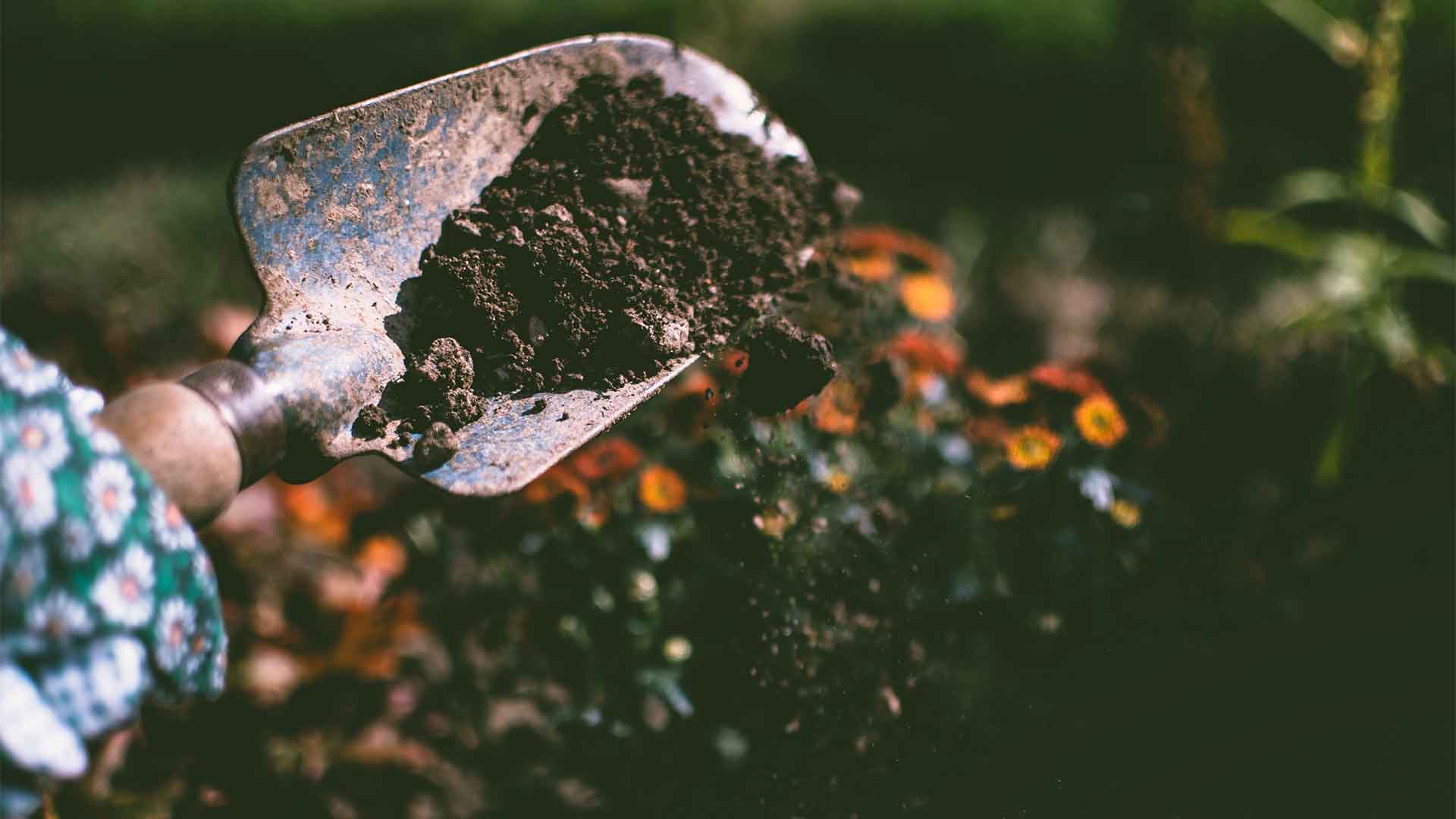 Illustrative photograph of a hand holding a garden trowel.