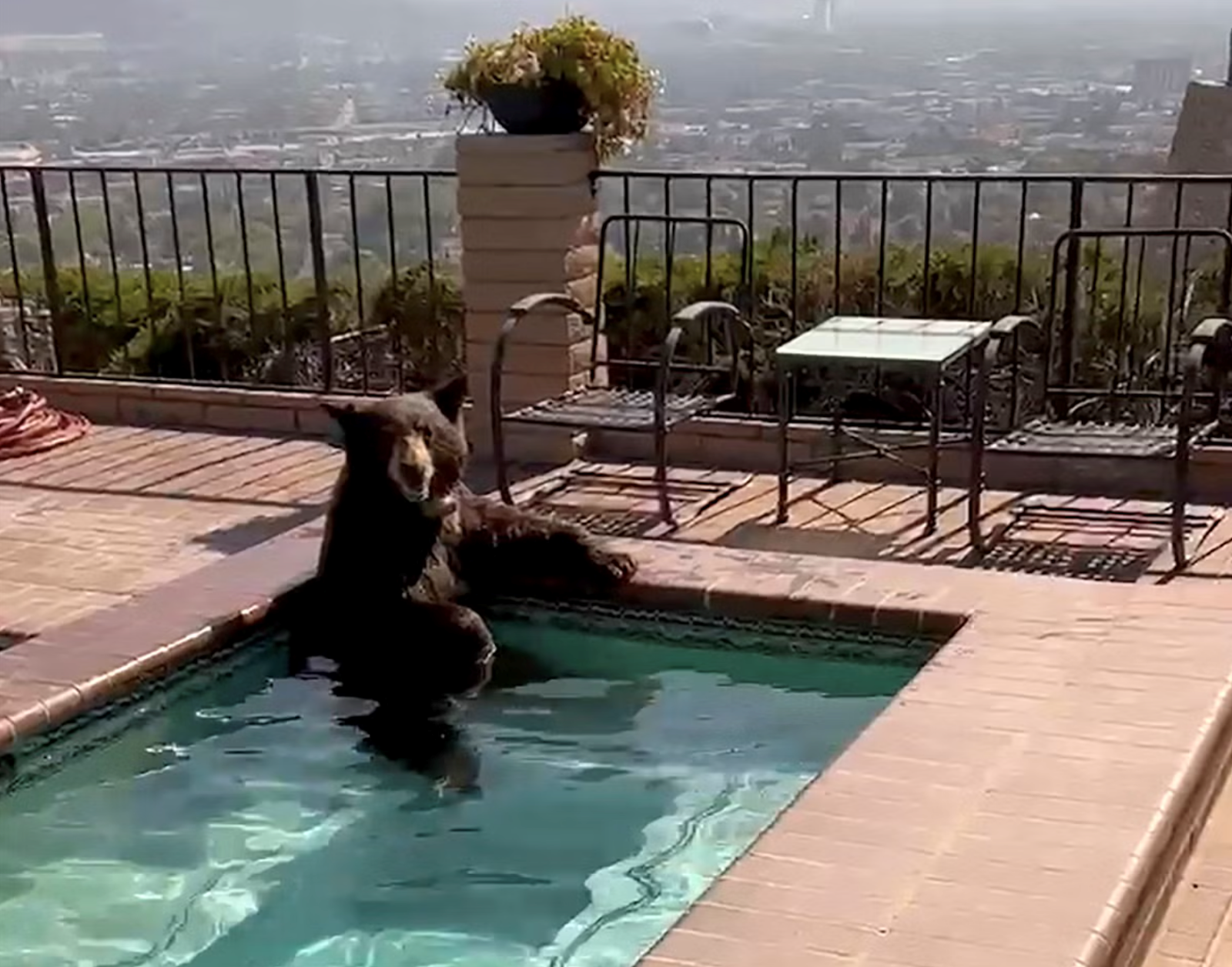 A black bear sitting in a backyard spa beside a patio overlooking Burbank.