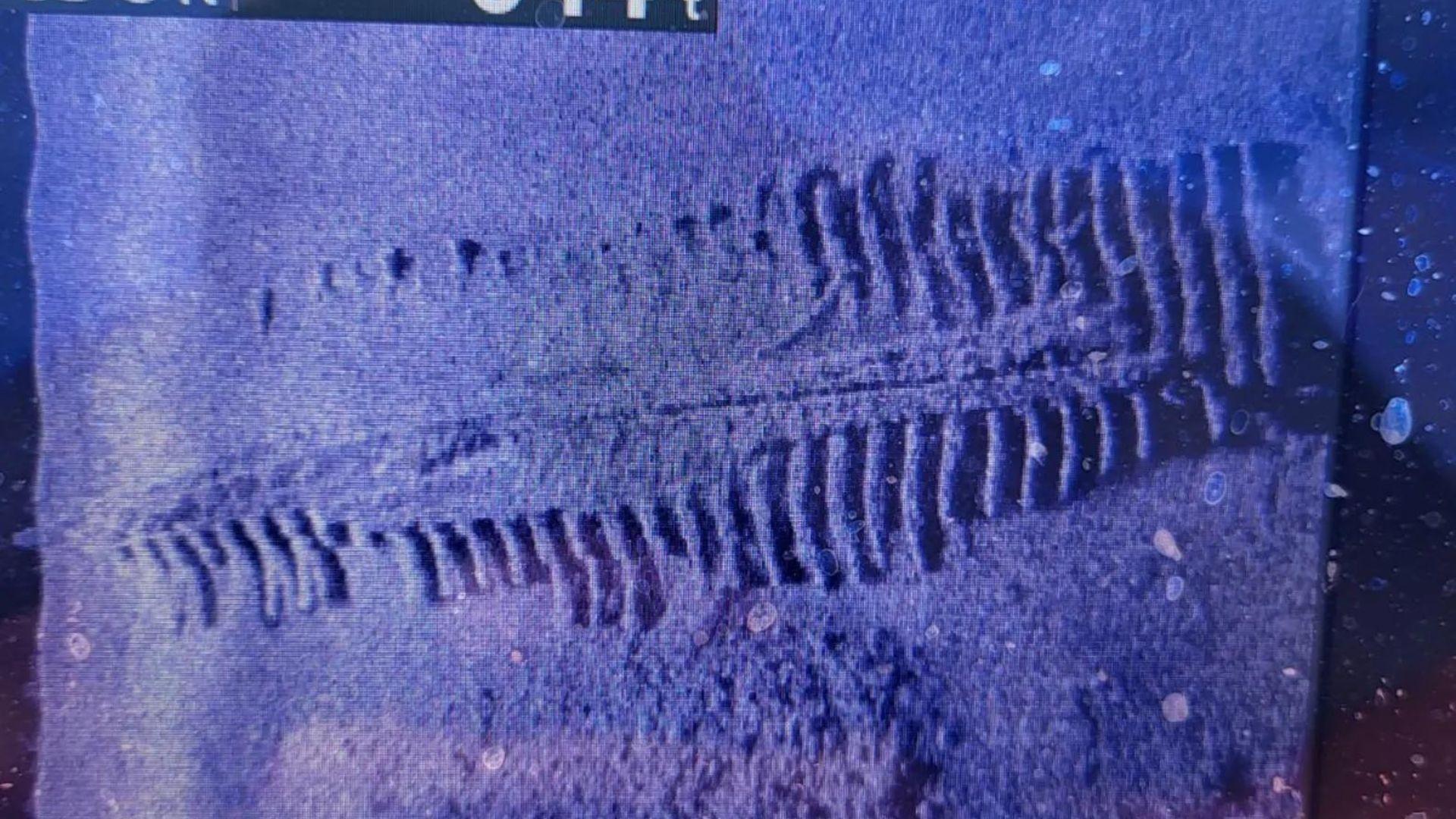 Tim Wollak's sonar image showing a long, ribbed structure.