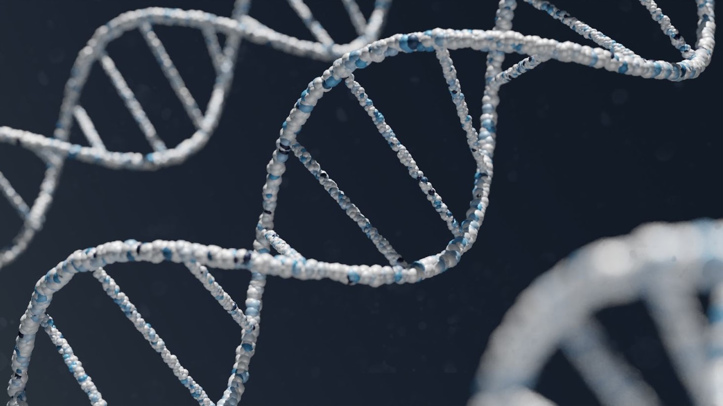 Illustrative model of a DNA double helix.