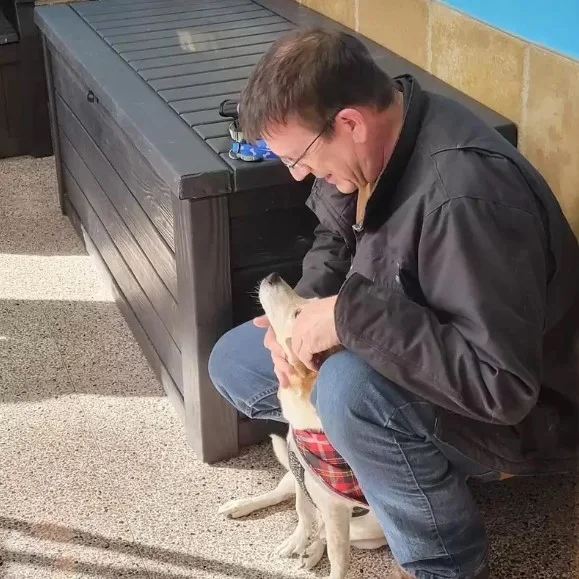 Illustration for “Dog Can't Stop Wagging Tail As He Reunites With His Dad After Six Long Years”