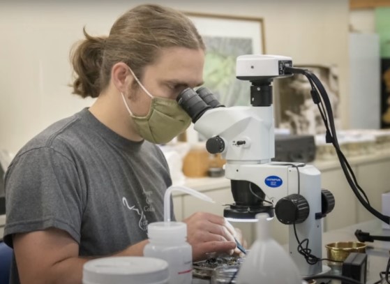 A researcher looking through a microscope in a source video still