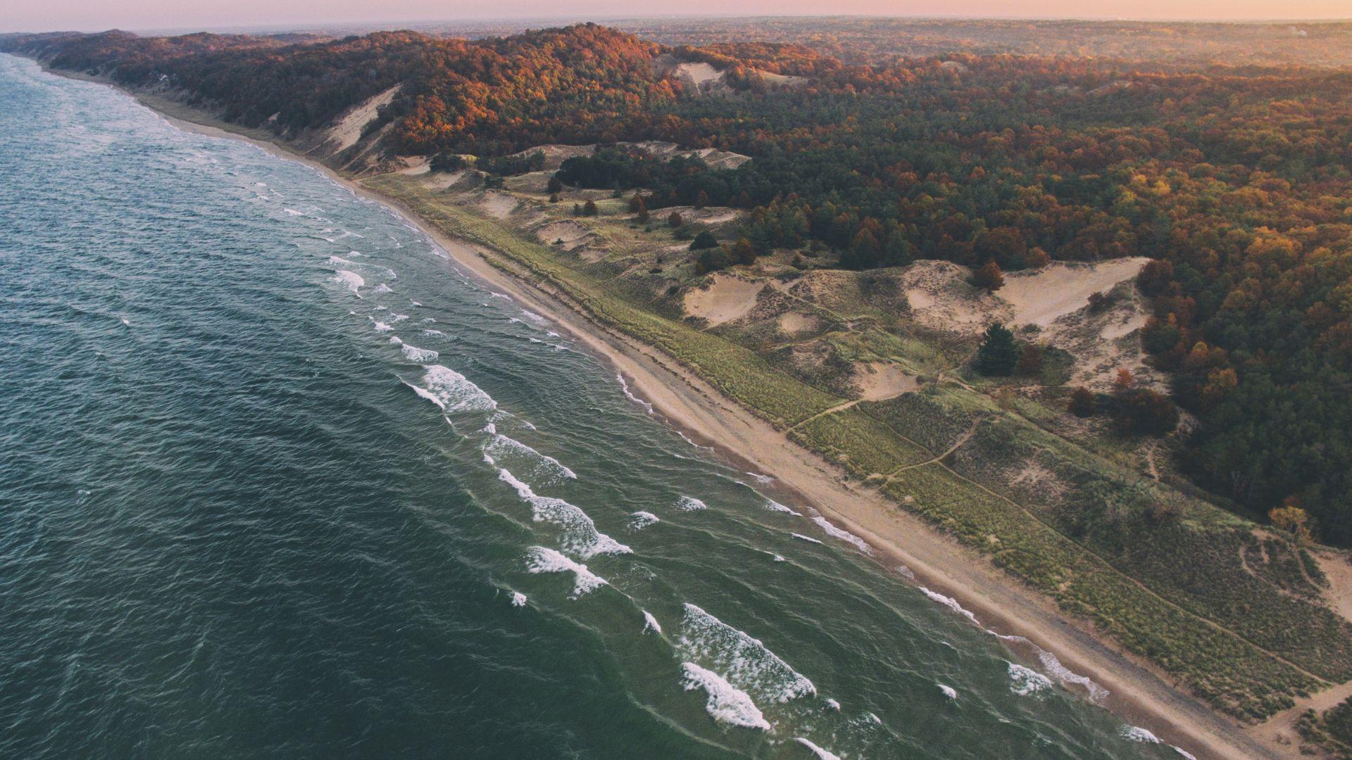 Illustrative aerial photograph of a wooded shoreline and beach.