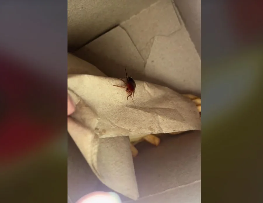 Cockroach videoed on a napkin inside of a McDonalds Happy meal