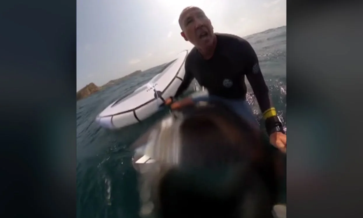 Jaws in the waters of Sydney after the whale incident